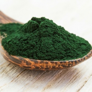 Manufacturers Exporters and Wholesale Suppliers of Spirulina Powder Chennai Tamil Nadu